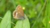360345 – Photo : florent besson – France (25)